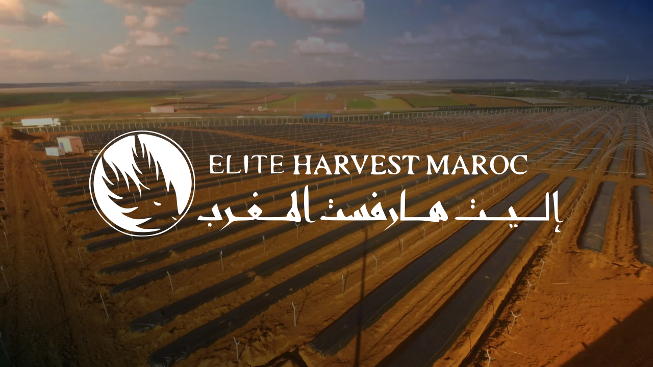 Elite Harvest Maroc